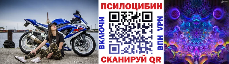 Купить где  Ивантеевка  Галлюциногенные грибы Psilocybe 